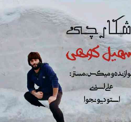 سهیل کوهی شکارچی